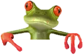 Frog-head